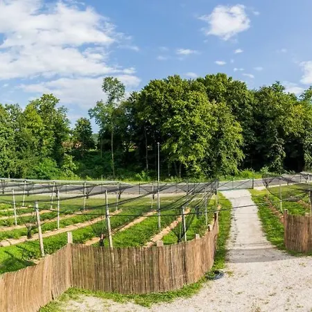 Apartma Zemljanka * Ljutomer