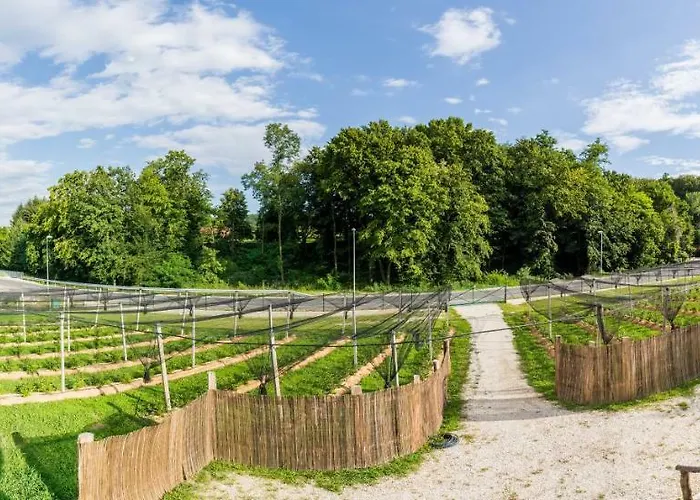 Apartma Zemljanka * Ljutomer